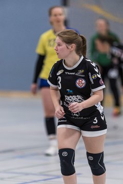 Bild 261 - F HSG Pinnau2 - Rellinger TV2 : Ergebnis: 27:20